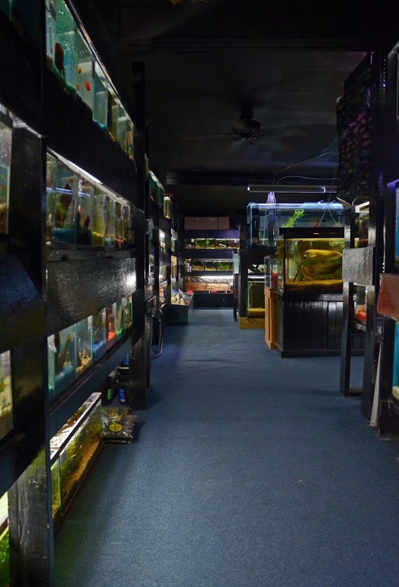 Aquarium Outfitters Carolina - Photo 5