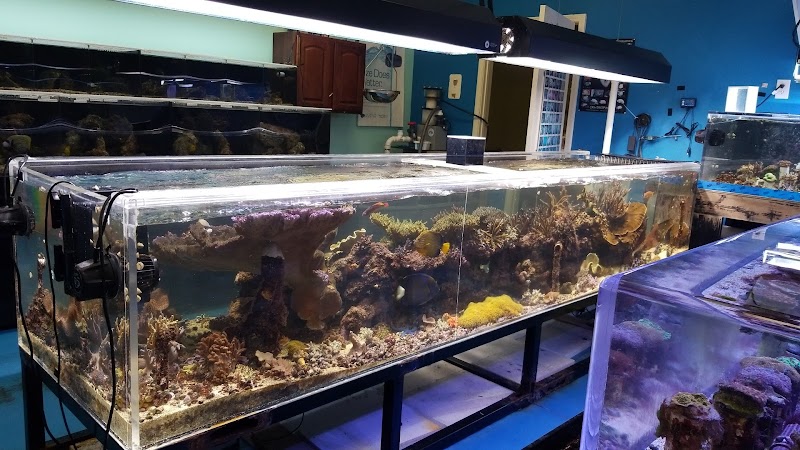 Reef Keepers Aquariums - Photo 1