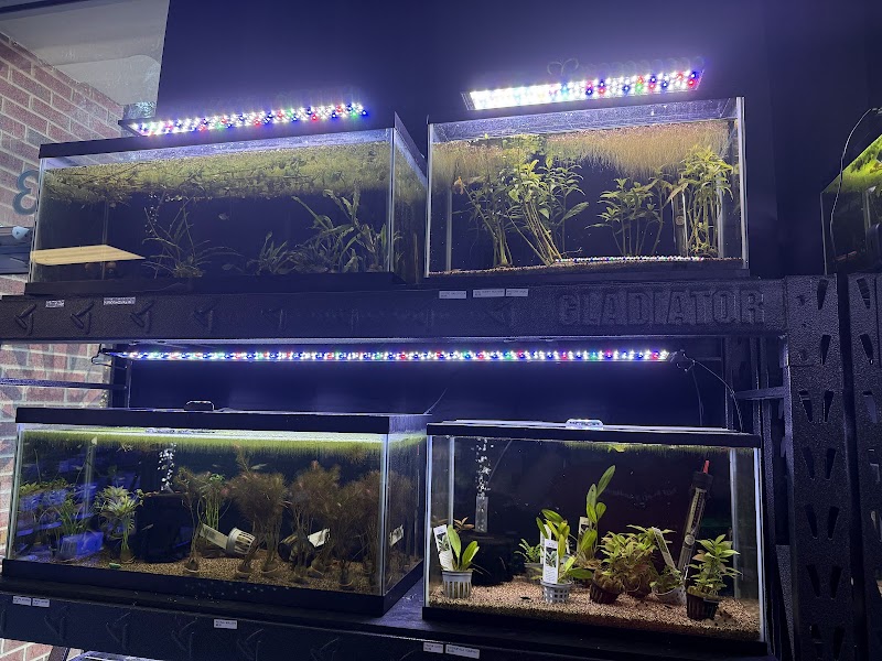 Reef Keepers Aquariums - Photo 2