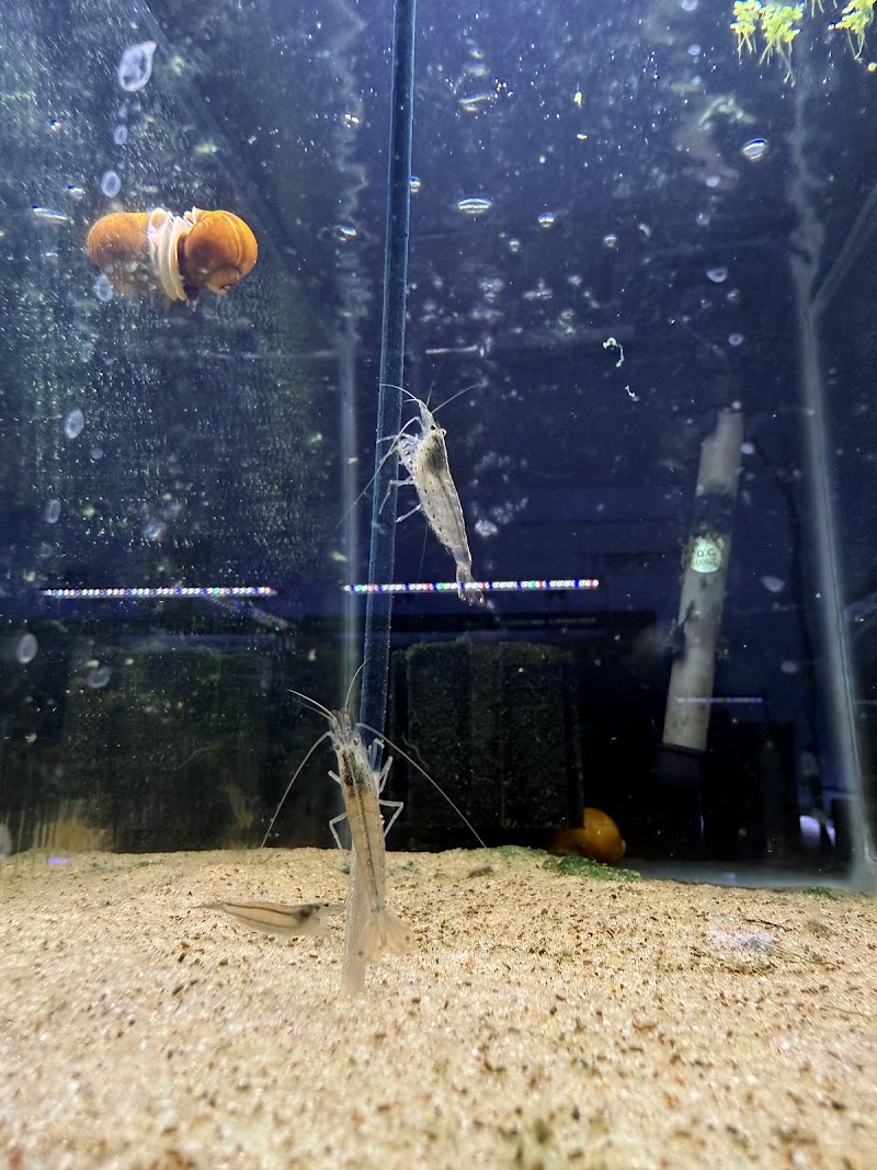 Reef Keepers Aquariums - Photo 4