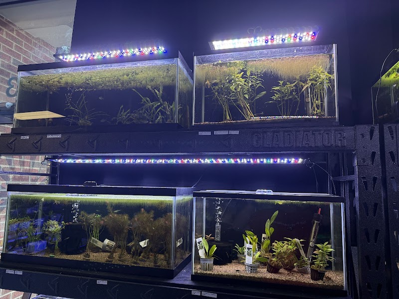 Reef Keepers Aquariums - Photo 5