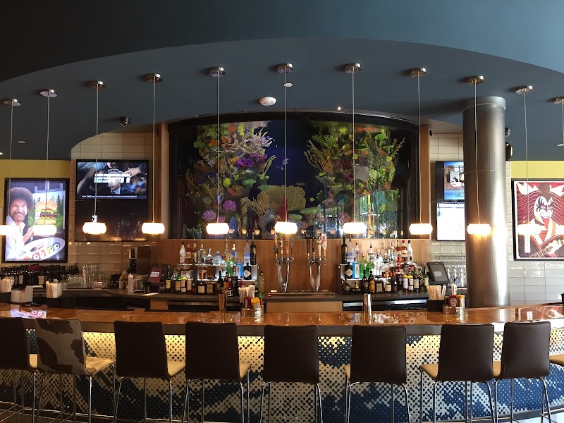 Clearwater Aquarium Services - Photo 1