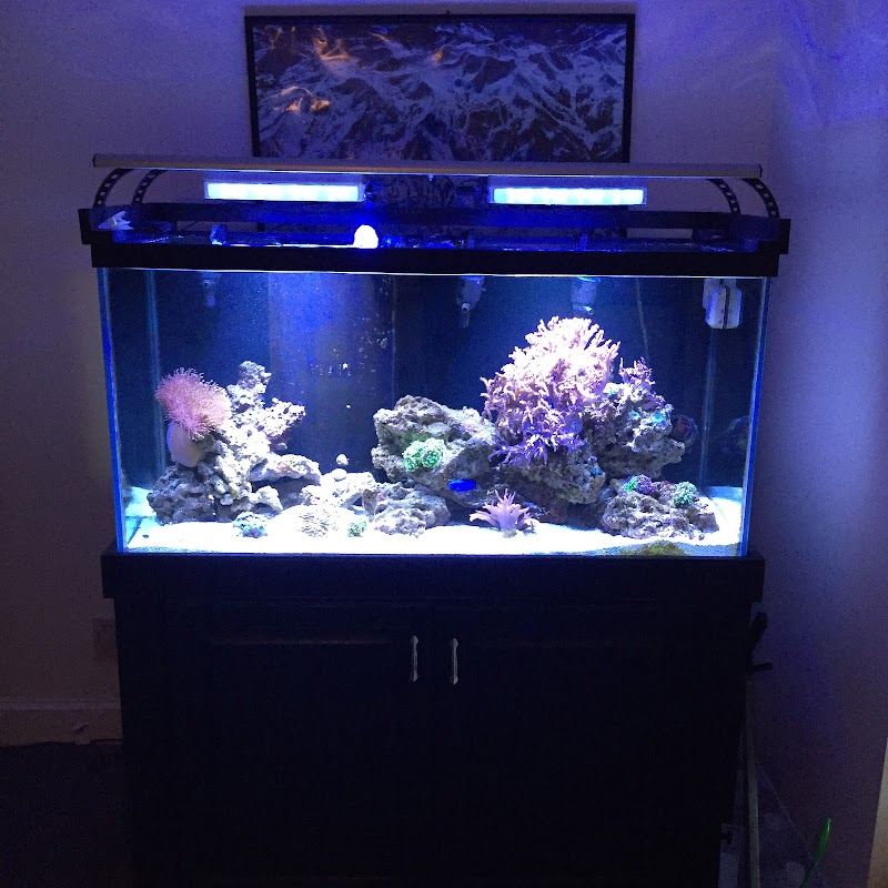 Clearwater Aquarium Services - Photo 2