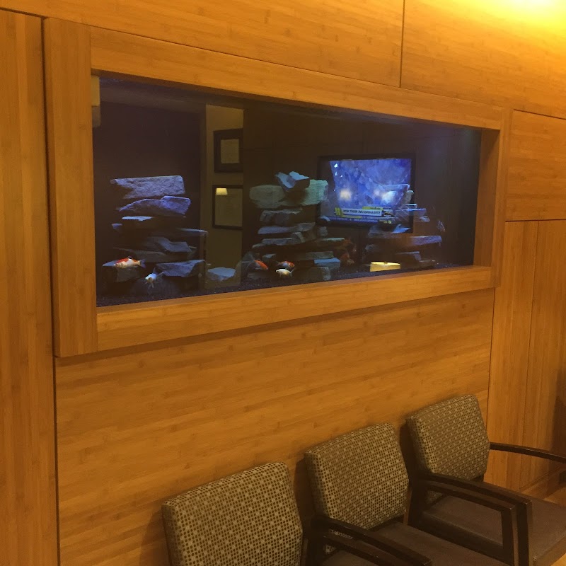 Clearwater Aquarium Services - Photo 3