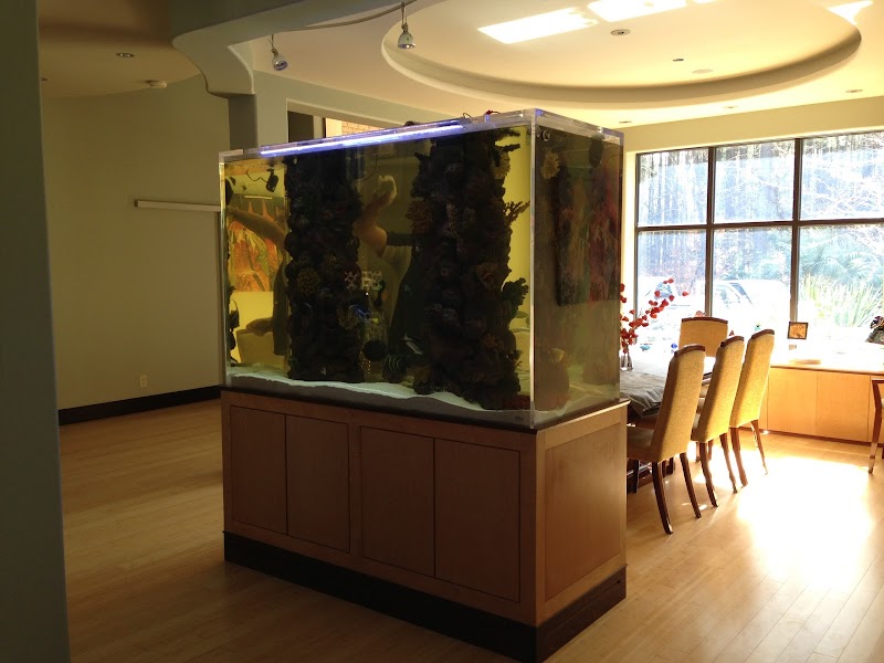 Clearwater Aquarium Services - Photo 5