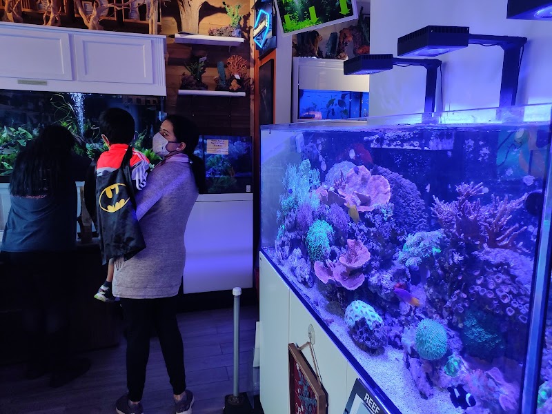 The Fish Room - Photo 2