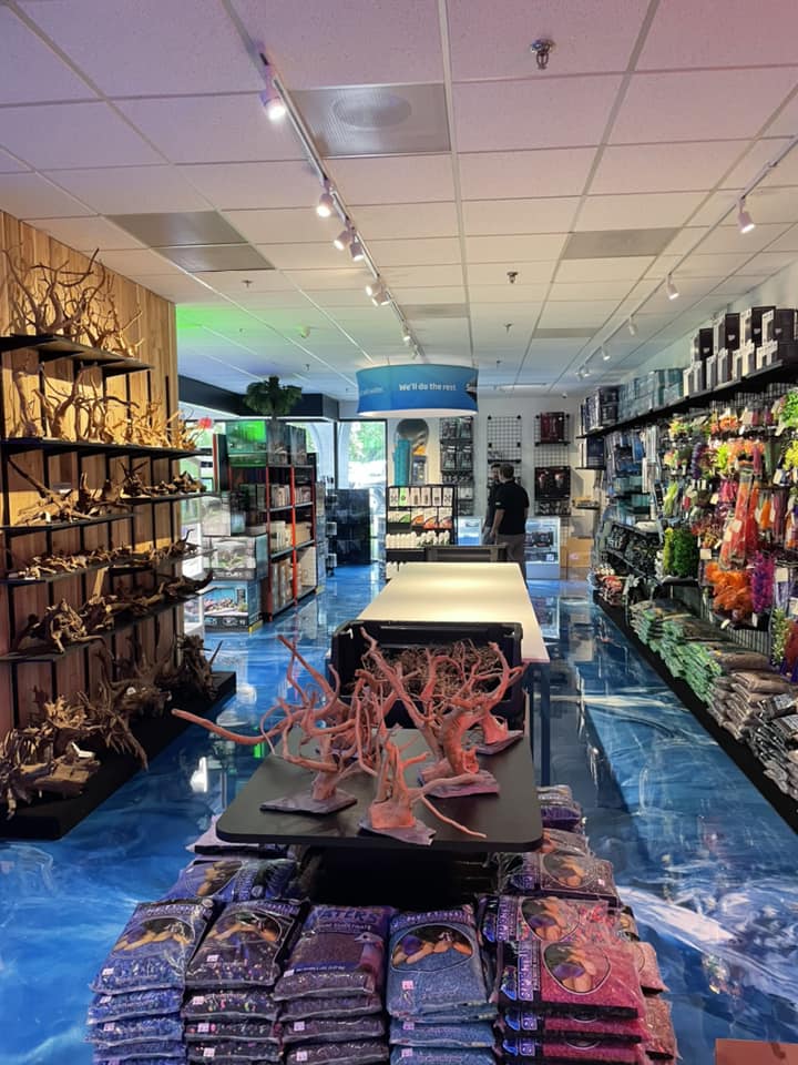The Fish Room - Photo 3