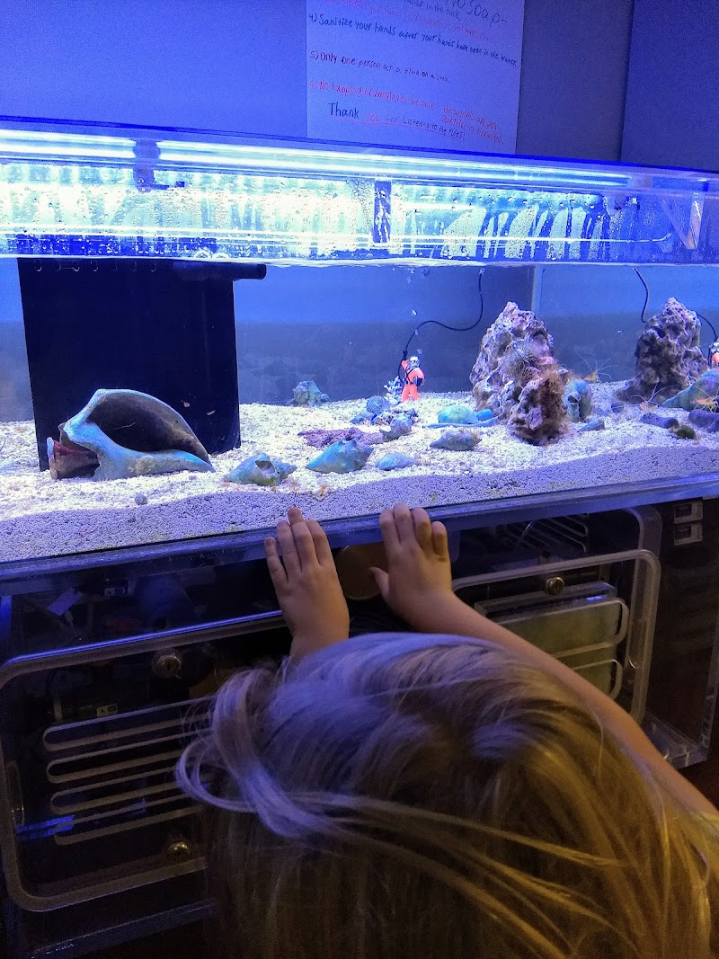 The Fish Room - Photo 5