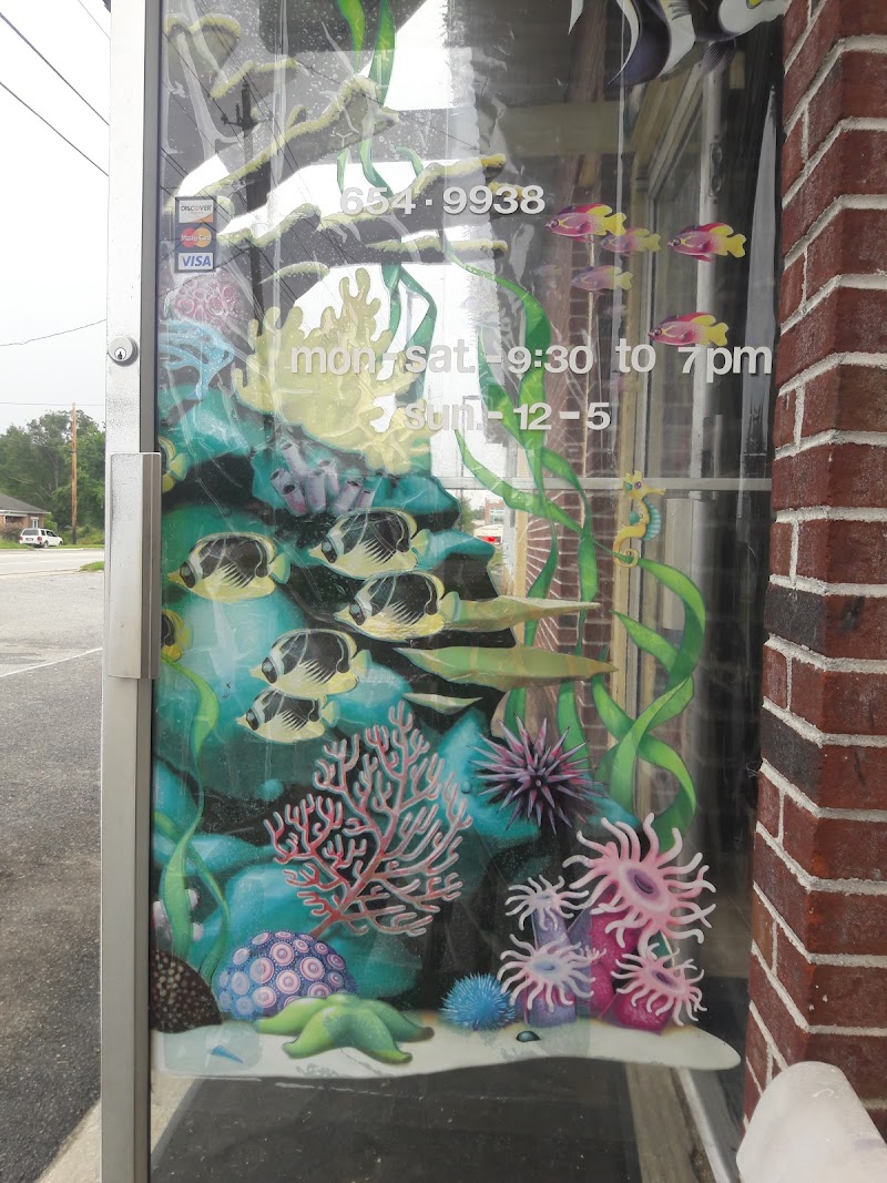 Aquarium & Imports Inc. - Photo 1