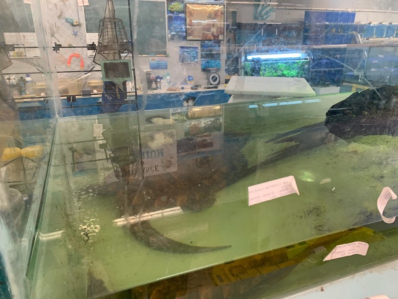 Aquarium & Imports Inc. - Photo 2