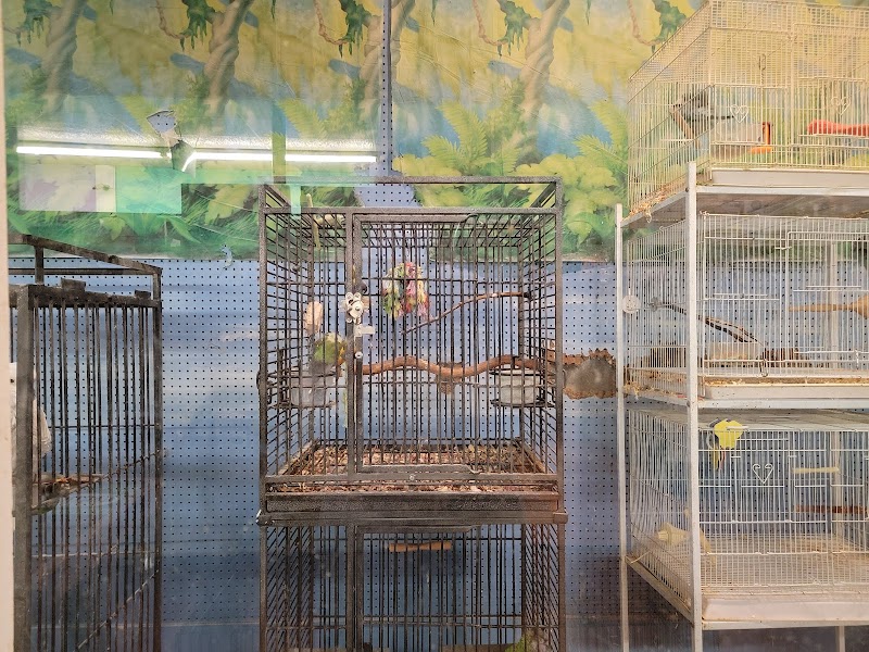 Aquarium & Imports Inc. - Photo 3