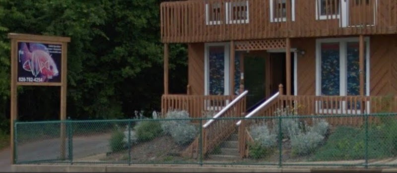 The Evolved Fish - Photo 1