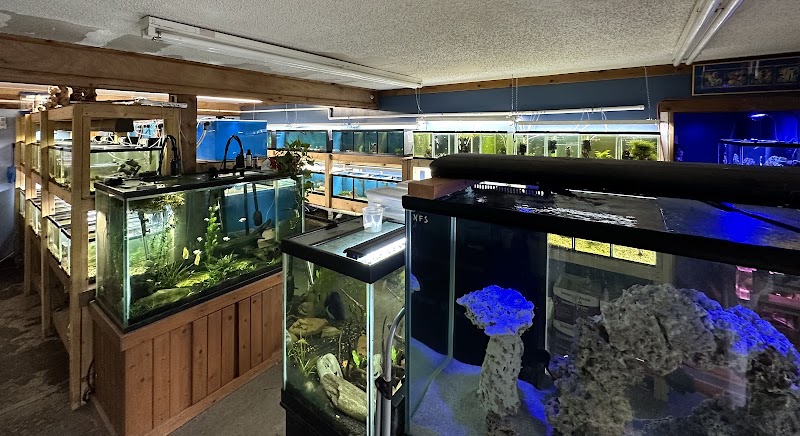 The Evolved Fish - Photo 2