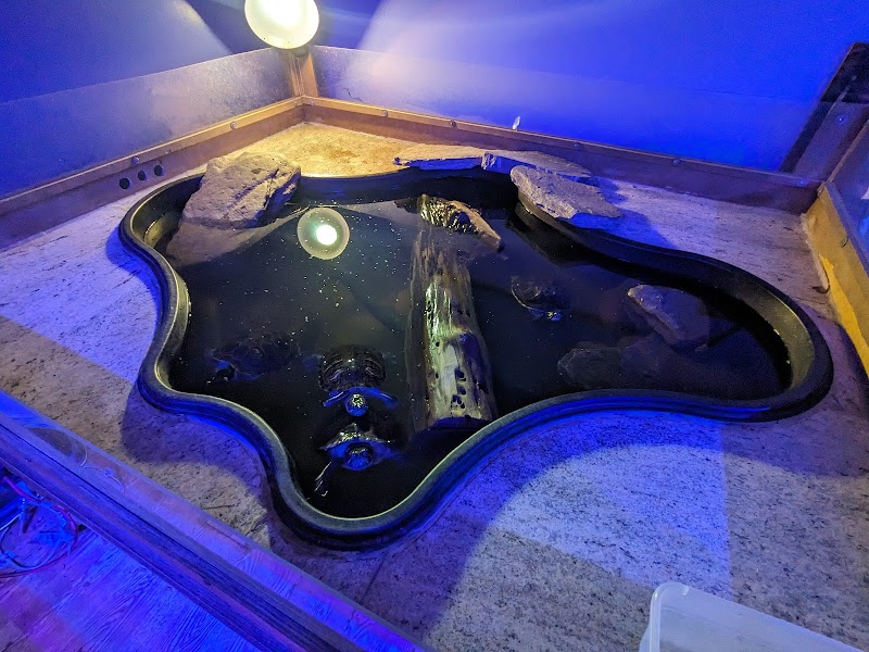 The Evolved Fish - Photo 4