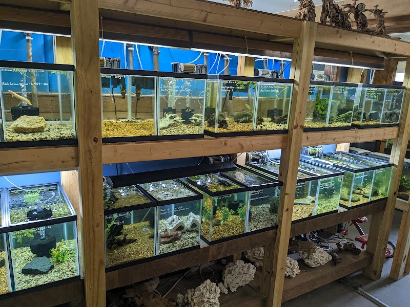 The Evolved Fish - Photo 5