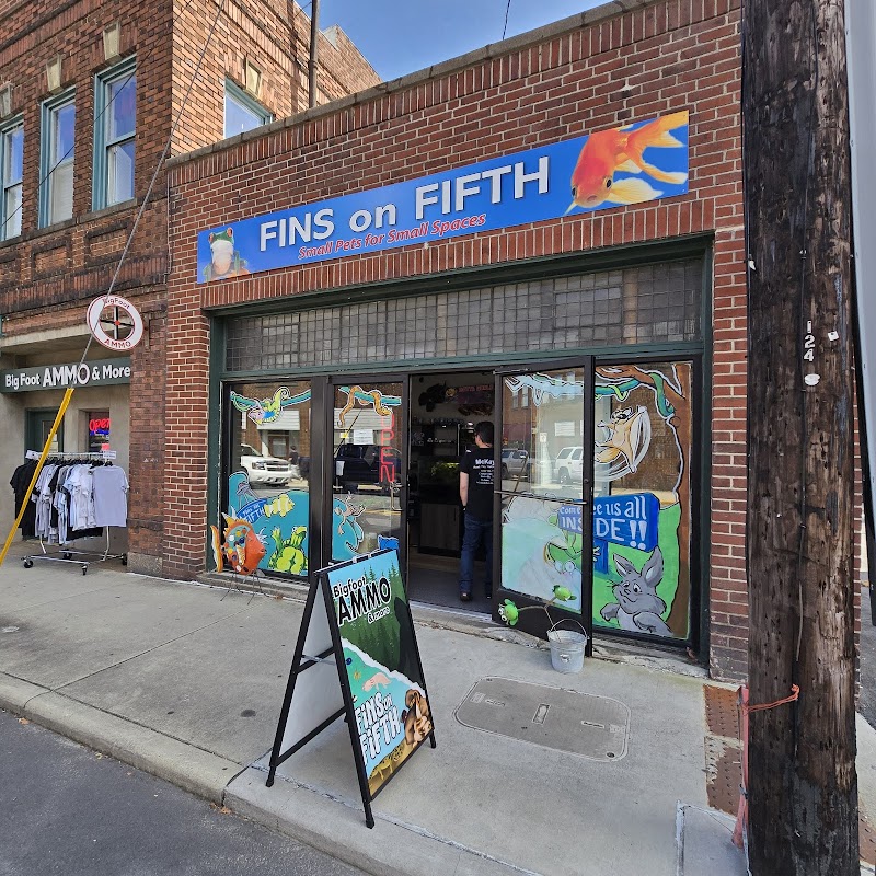 Fins on Fifth - Photo 1