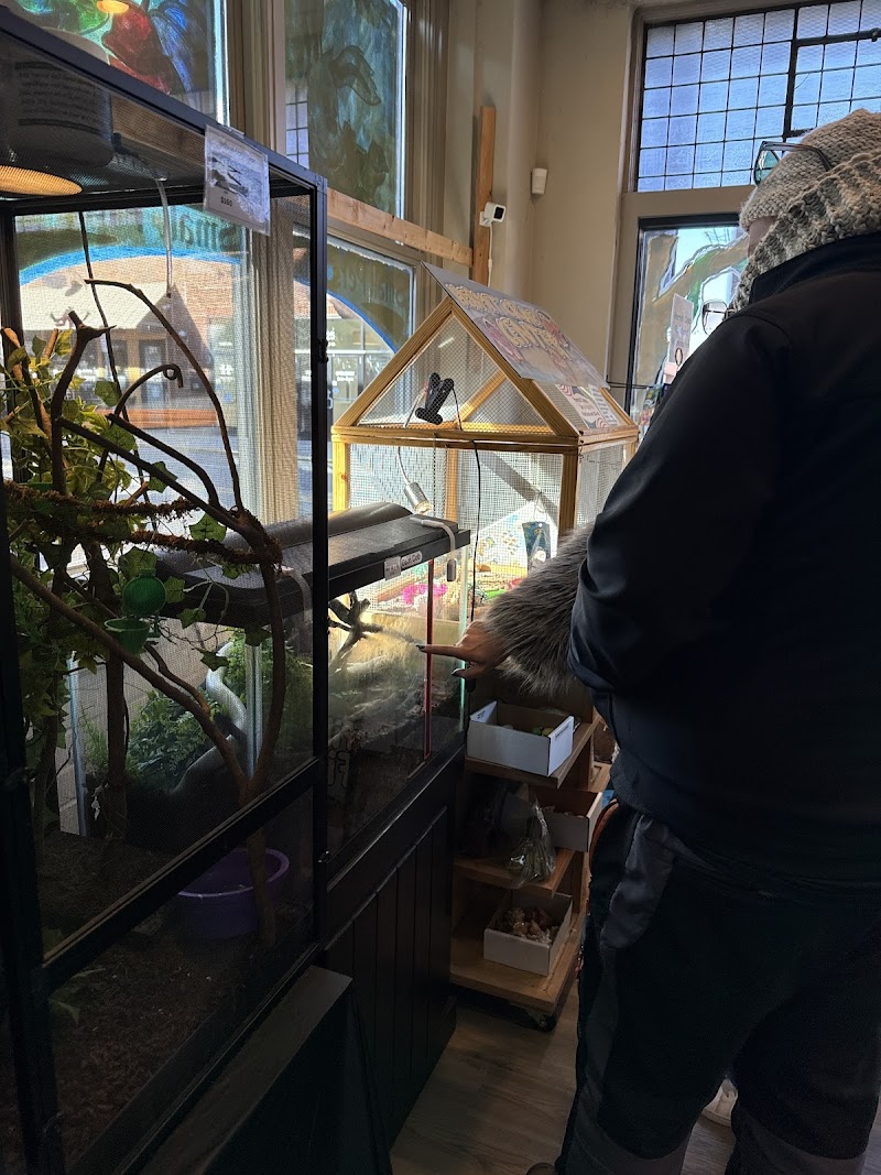 Fins on Fifth - Photo 4