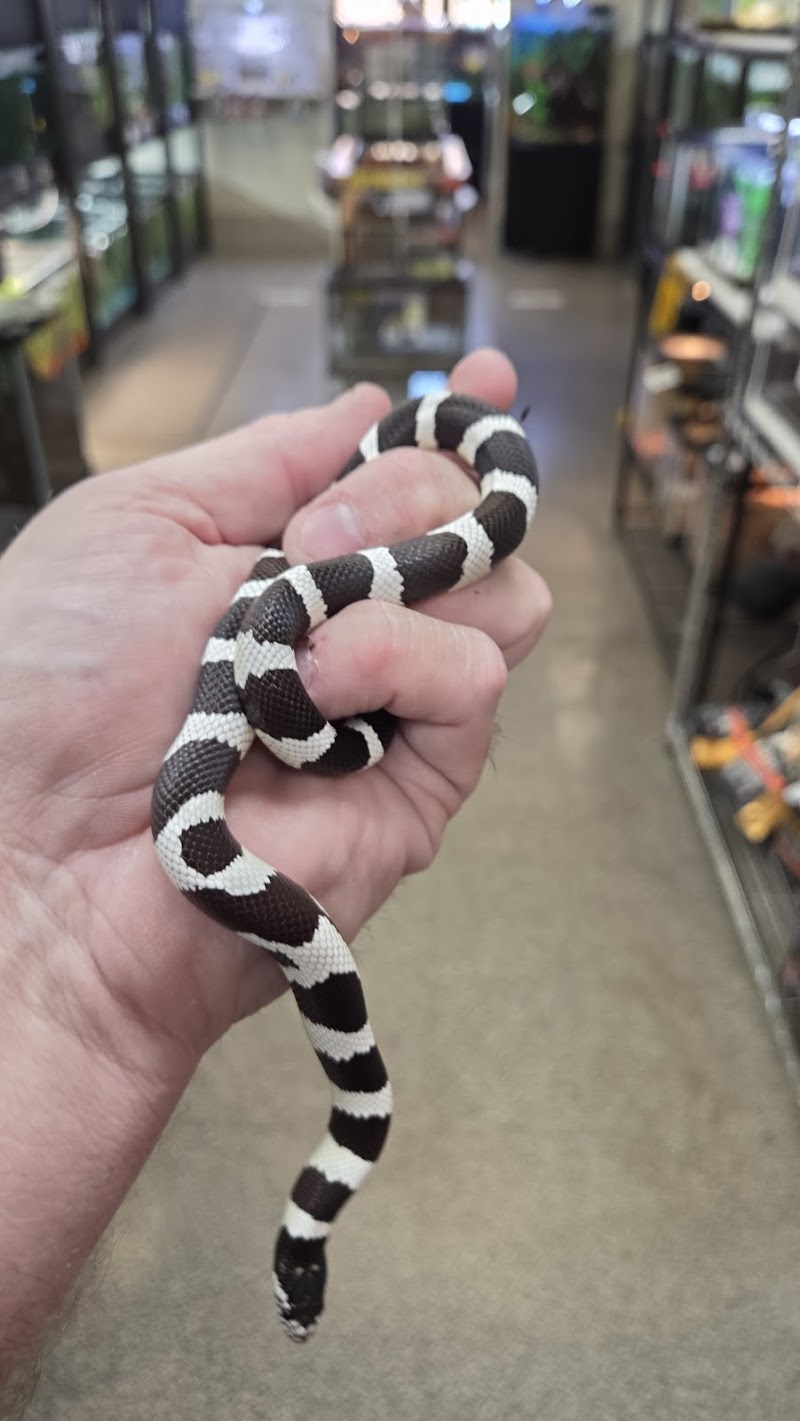 Fins on Fifth - Photo 5