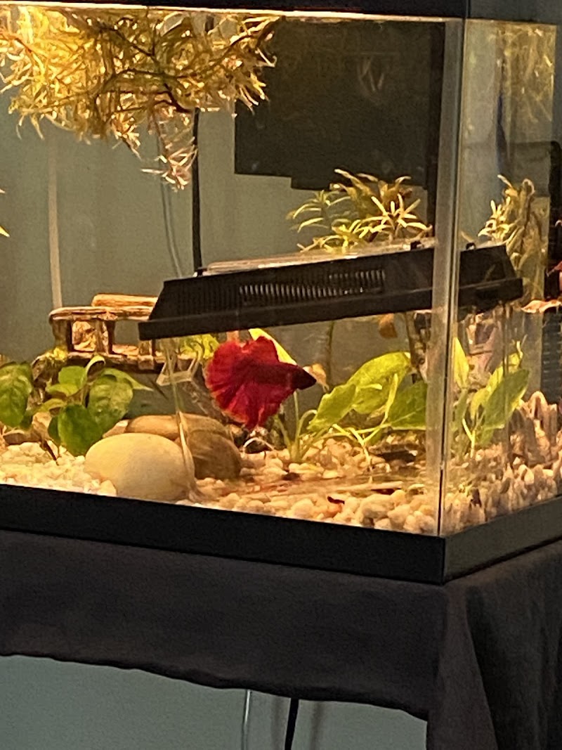 Z Fishroom - Photo 2