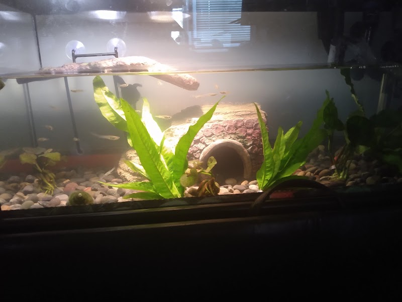 Z Fishroom - Photo 4