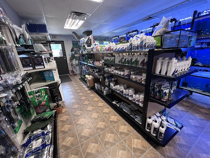 Z Fishroom - Photo 5