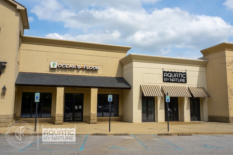 Ocean's Floor, LLC. - Photo 1