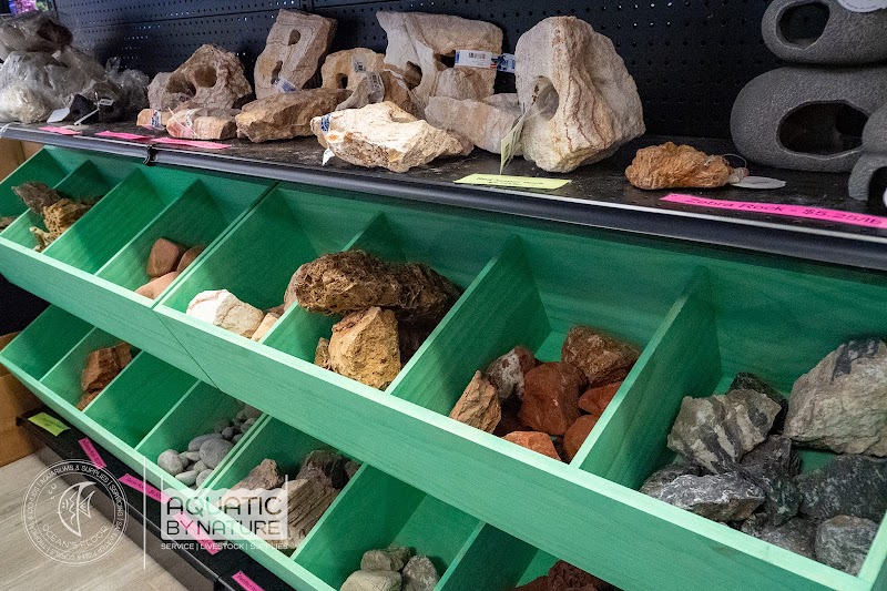 Ocean's Floor, LLC. - Photo 2