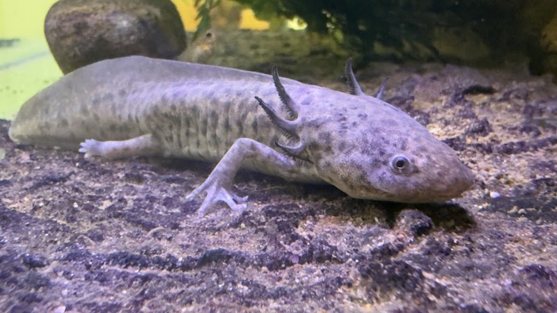 Ocean's Floor, LLC. - Photo 3