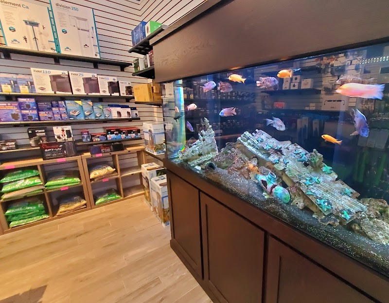 Ocean's Floor, LLC. - Photo 5