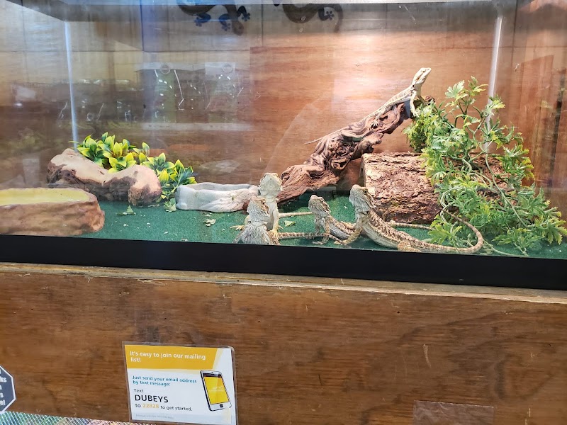 Dubey's Pet World - Photo 2