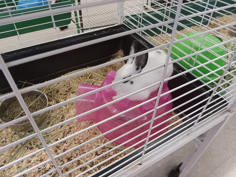 Dubey's Pet World - Photo 3