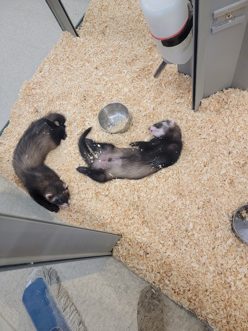 Dubey's Pet World - Photo 4