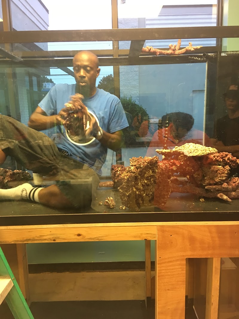 Reef Architects - Photo 2