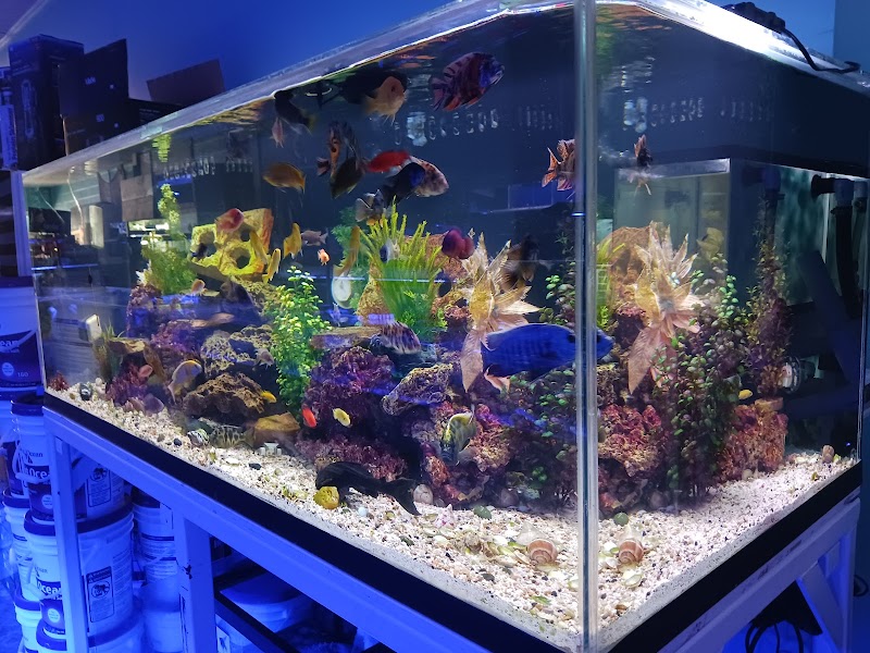 Reef Architects - Photo 3