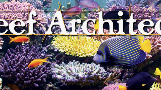 Reef Architects - Photo 4