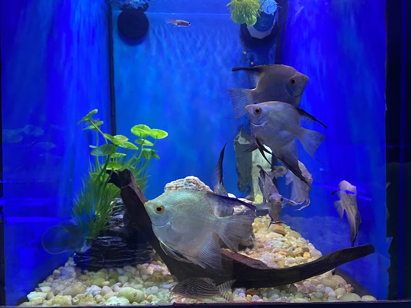 Reef Architects - Photo 5