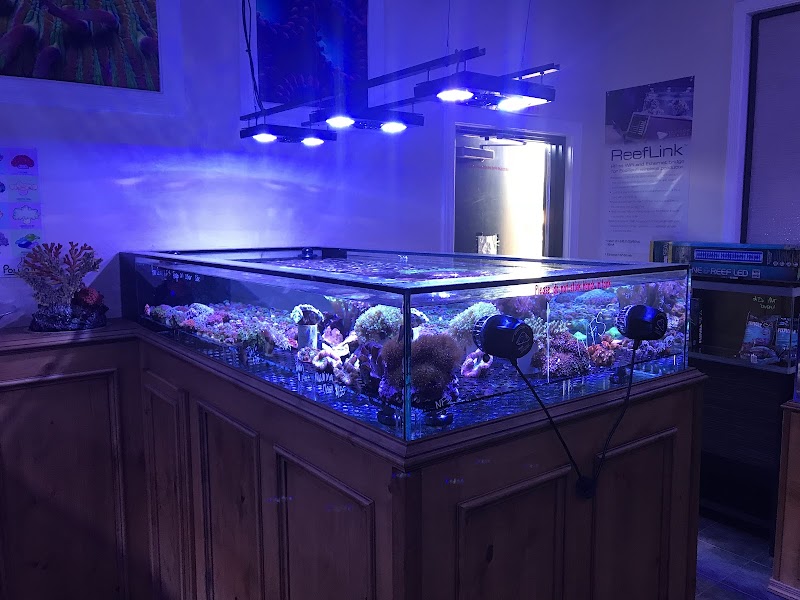 Reef Monsters - Photo 2