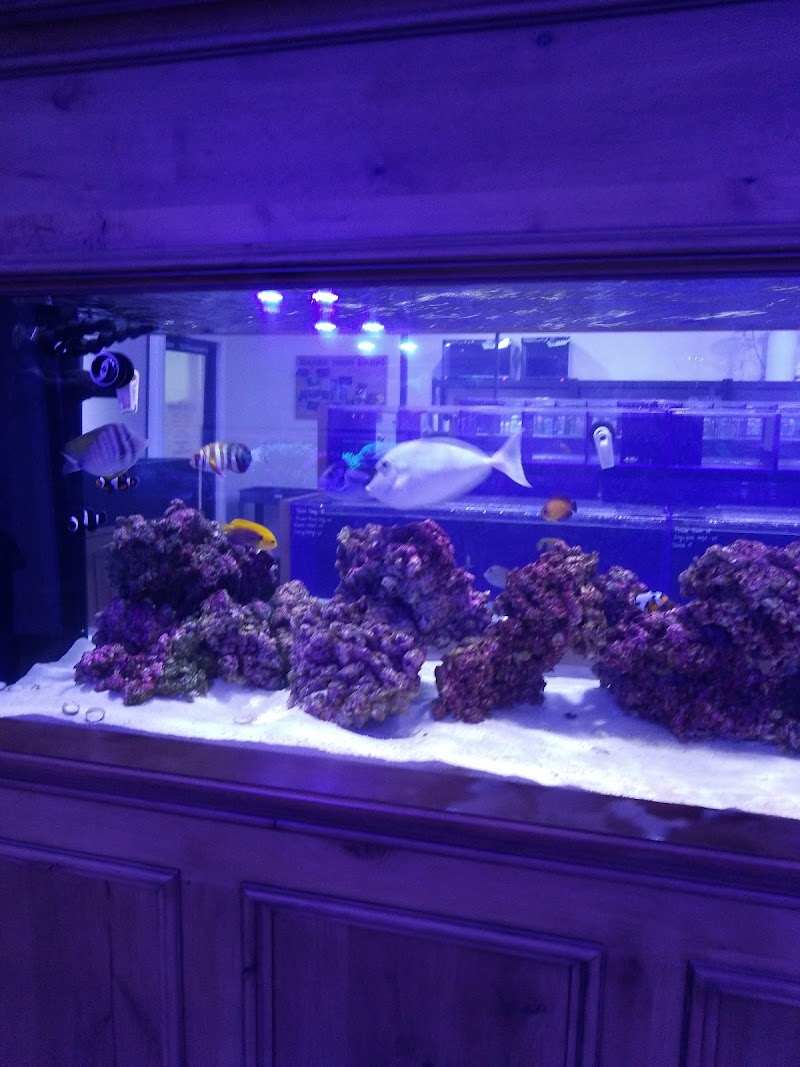 Reef Monsters - Photo 3