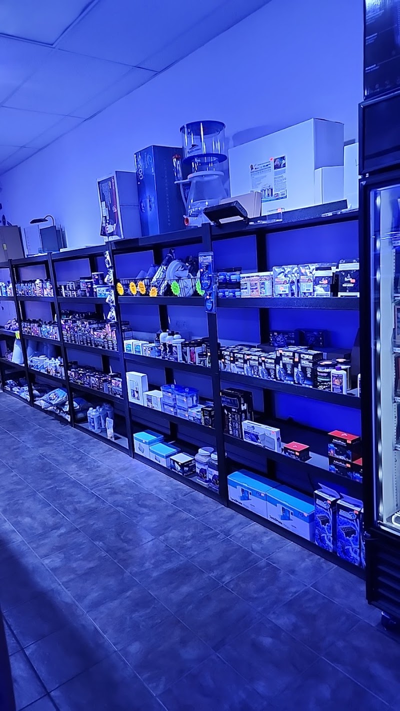 Reef Monsters - Photo 4