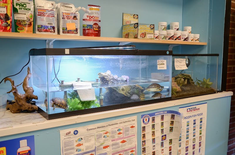 Bubble Aquatics & Exotics - Photo 3