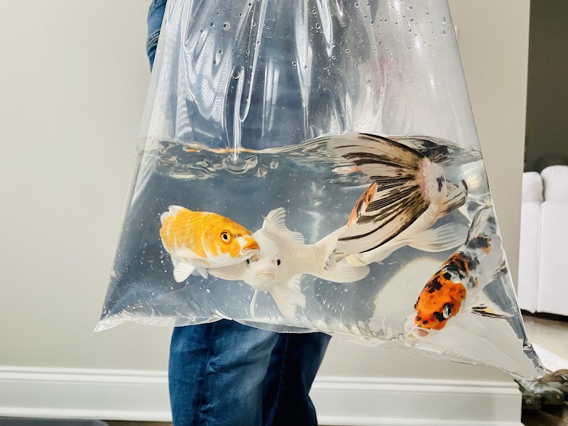 Star Ridge Aquatics LLC - Photo 2