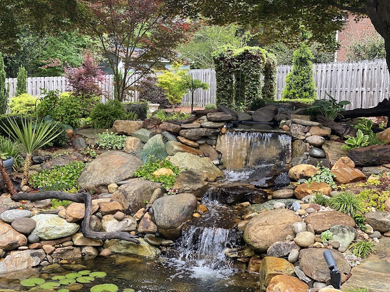 Star Ridge Aquatics LLC - Photo 3