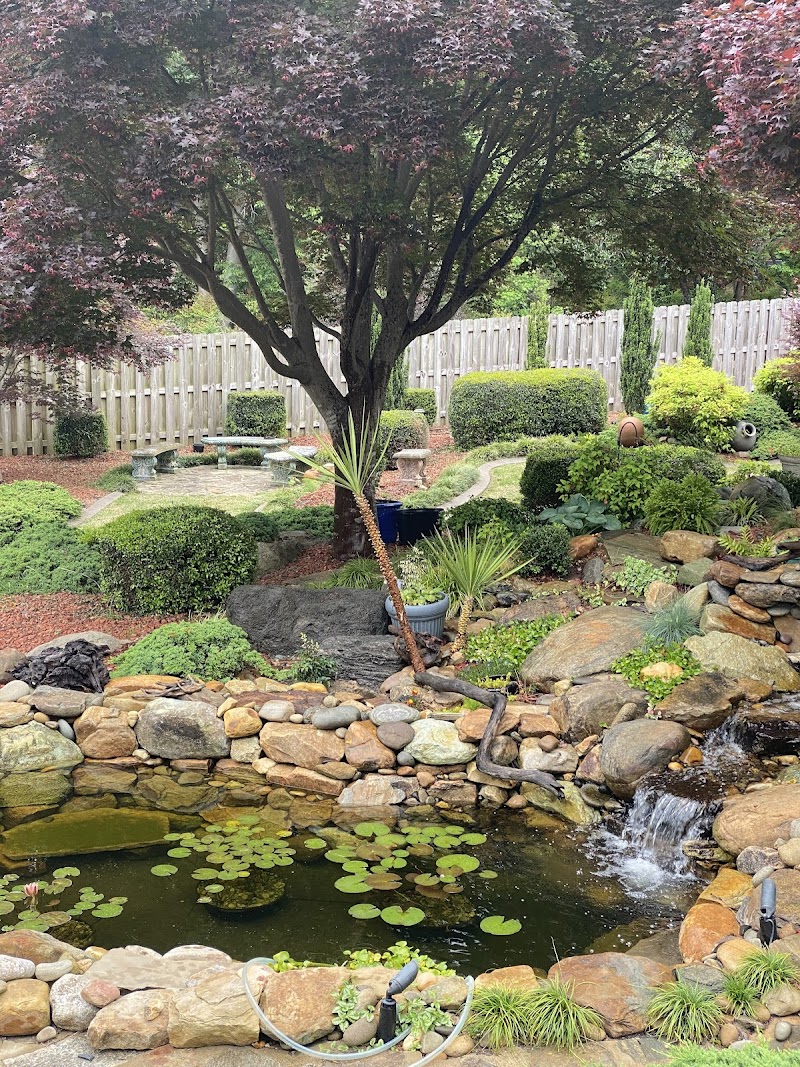 Star Ridge Aquatics LLC - Photo 5