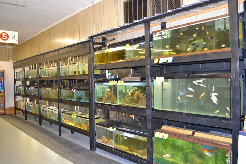 Taylor's Aquarium - Photo 1