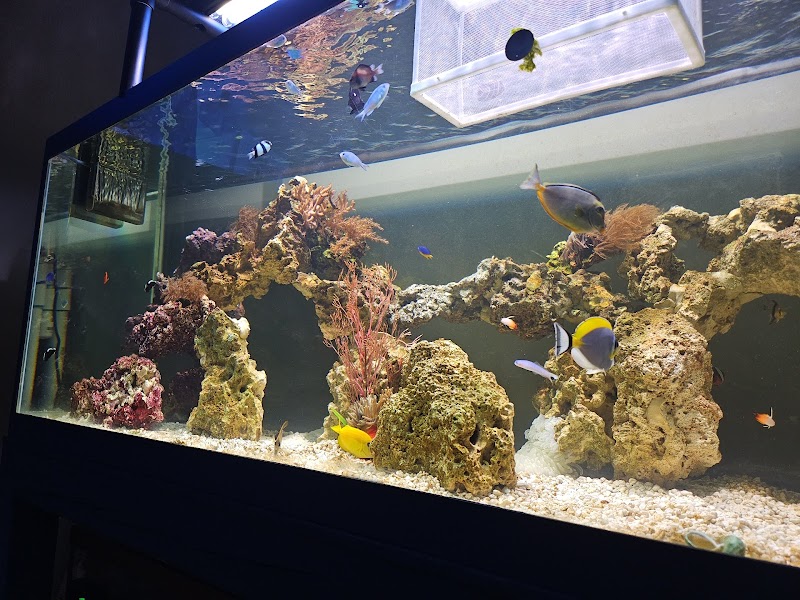 Taylor's Aquarium - Photo 2