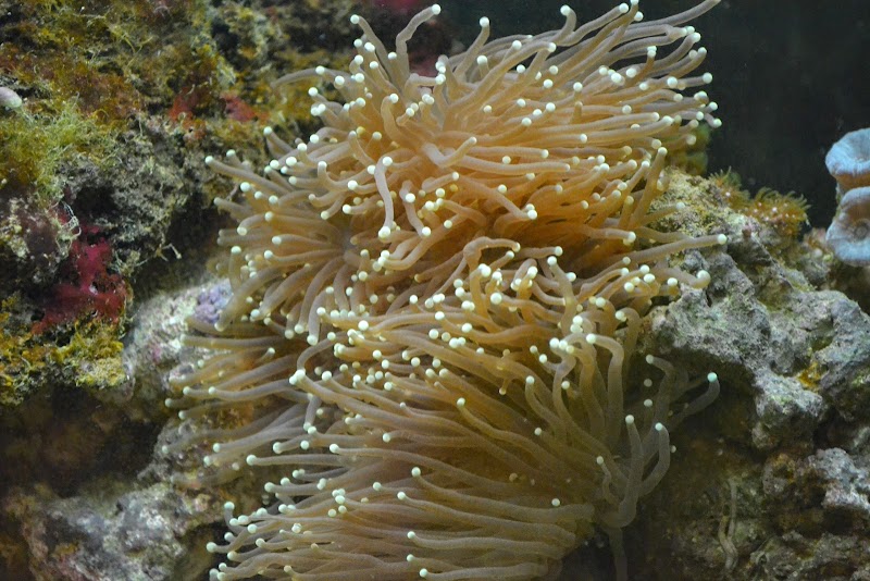 Taylor's Aquarium - Photo 3