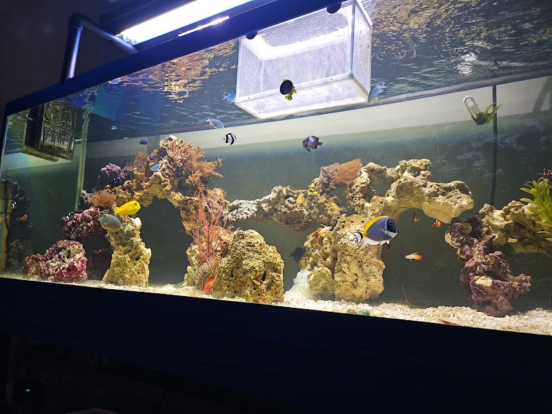 Taylor's Aquarium - Photo 4