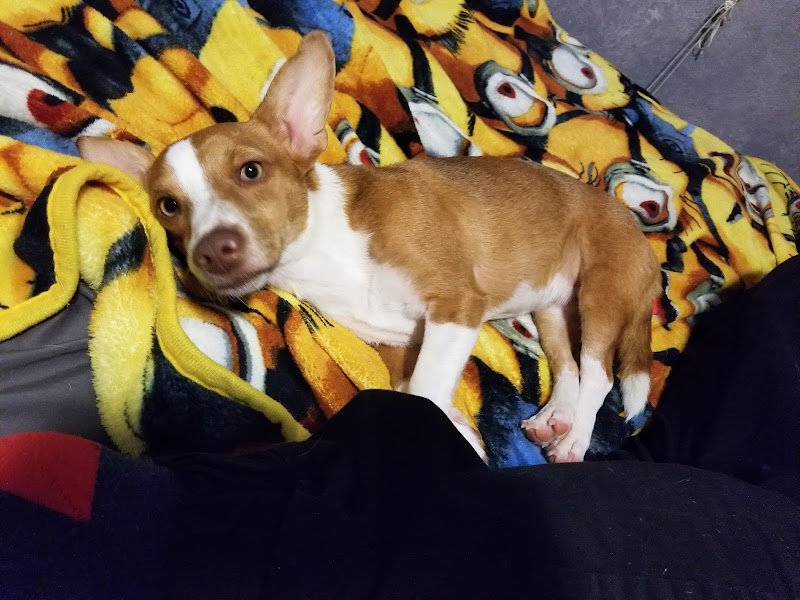 Taylor's Aquarium - Photo 5