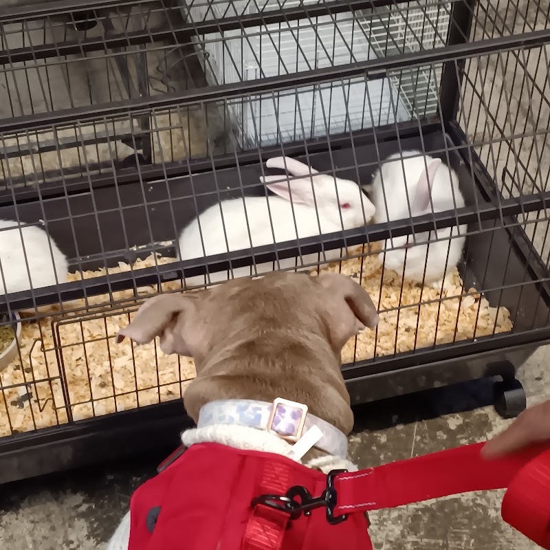 Aqua-Rama Pet Center - Photo 3