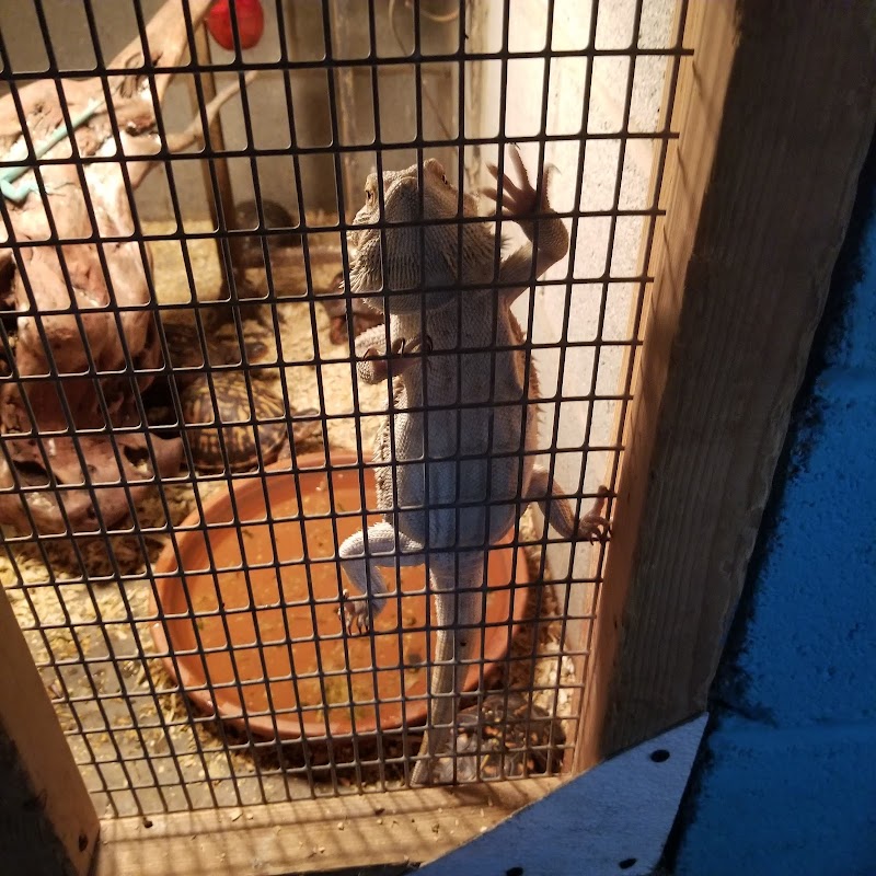 Aqua-Rama Pet Center - Photo 5